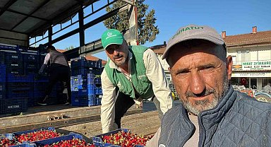 İznik'te mevsimin ilk karabodur kirazı hasadı başladı
