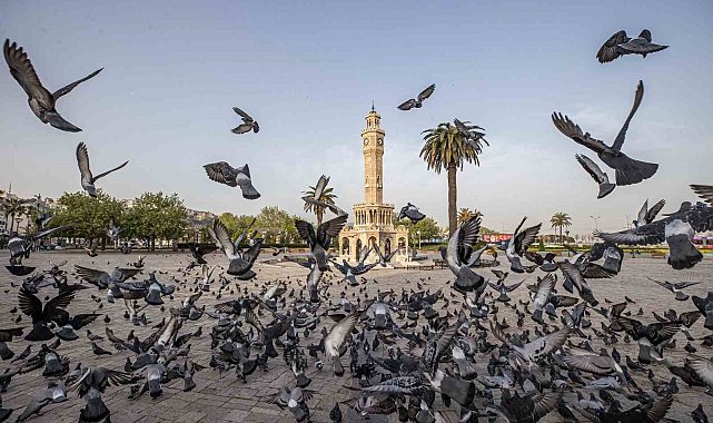 İZPA'dan geleceğe çağrı: "İki Çizgi Arasında"