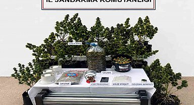 Jandarmadan uyuşturucuya geçit yok