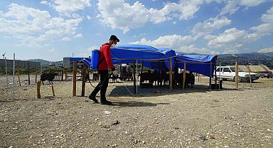 Kahramanmaraş'ta bayram temizliği ve ilaçlama çalışmaları sürüyor