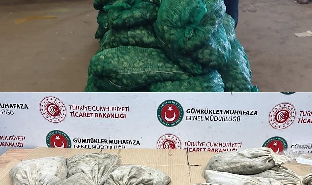 Kapıkule'de 760 kilo kaçak midye ele geçirildi