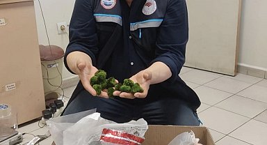 Kapıkule'de yolcu otobüsünde 2 bin adet canlı yeşil alg ele geçirildi