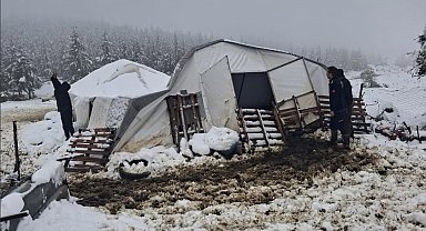 Kar yüküne dayanamayan çadırın çökmesi sonucu 5 hayvan mahsur kaldı