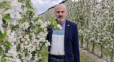 Karaman'da 16 milyon elma ağacı çiçek açarak gelinliğini giydi