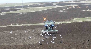Kars'ta kış uzadı, ekim gecikti: Çiftçi zamanla yarışıyor