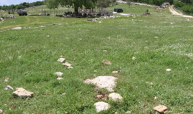 Katilin intihar ettiği yer görüntülendi: "Fail kaçamayacağını anlayınca intihar etmiş"