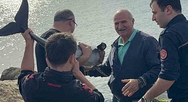 Kayalıklara sıkışan yunusu polis memuru kurtardı