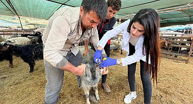 Kepez'de kurban satış ve kesim yerleri denetim altında