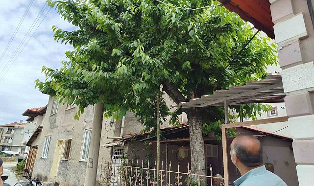 Kiraz toplarken demir korkulukların üzerine düşen adam öldü