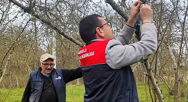 Kırklareli'de kahverengi kokarca böceği izleme çalışmaları