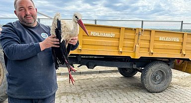 Kırklareli'de yaralı leyleğe şefkat eli