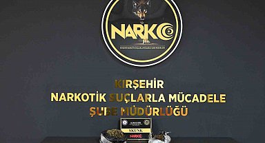 Kırşehir'de uyuşturucu operasyonu: 2 kişi tutuklandı