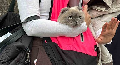 Kocaeli'de toprak kayması nedeniyle 5 bina tahliye edildi
