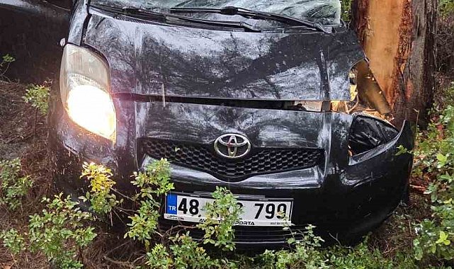 Kontrolden çıkan otomobil ormanlık alana uçtu: 1 yaralı
