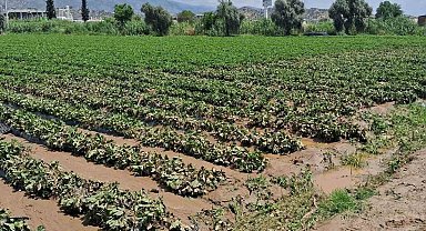 Köşk'te sel sonrası arazilerde hasar tespiti başlatıldı