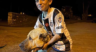 Köyde iki ayının saldırısına uğrayan Sencar'ın imdadına çoban köpeği Kral yetişti