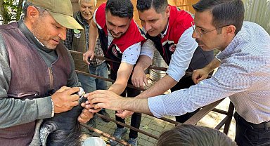Kurban Bayramı öncesi Bozdoğan hayvan pazarında sıkı denetim