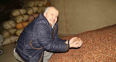 Kurban Bayramı öncesi fındık fiyatları geriledi