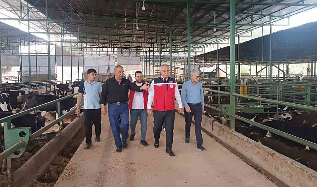 Kurban Bayramı öncesi hayvan satış yerlerinde sıkı denetim