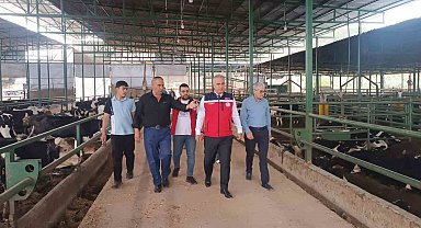Kurban Bayramı öncesi hayvan satış yerlerinde sıkı denetim
