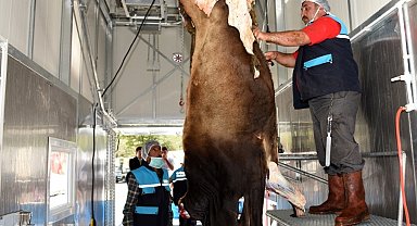 Kurban kesim kurallarına uymayanlara ceza yağacak