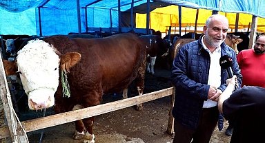 Kurban pazarının 'Paşa'sı 1,3 tonluk boğa