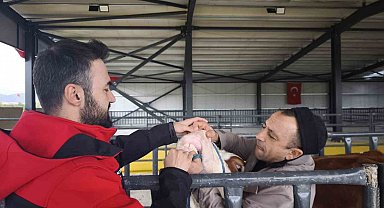 Kurbanlık denetimleri sürüyor