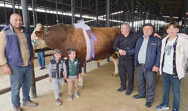 Kütahya Canlı Hayvan Pazarı'nda 1,4 tonluk kurbanlık 600 bin TL'ye satıldı