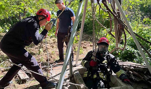 Kuyuya düşen yavru kedi itfaiye ekiplerince kurtarıldı