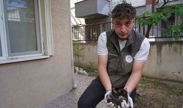 Mazgalda sıkışan kedi yavruları kurtarıldı