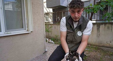 Mazgalda sıkışan kedi yavruları kurtarıldı