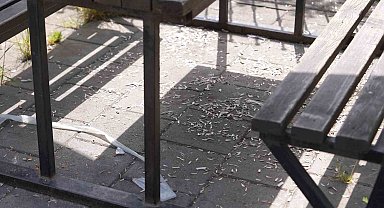Melen Su Park'ta utandıran manzara