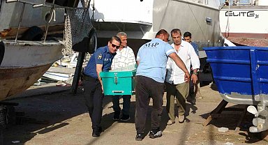 Mersin'de balıkçı barınağında erkek cesedi bulundu