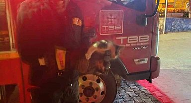 Motor kısmına sıkışan kedi için seferber oldular