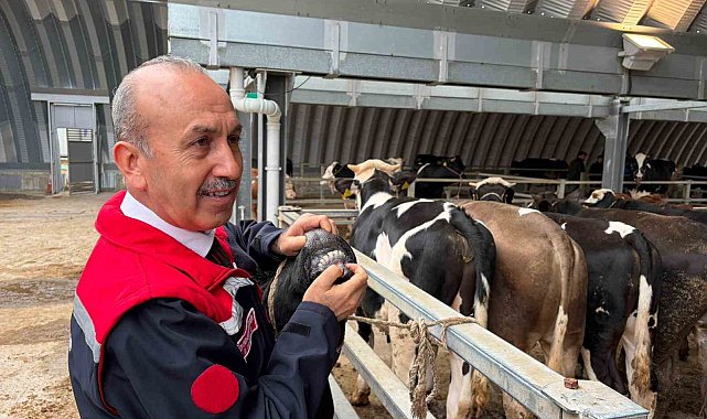 Müdür Düzgün: "256 kesim yeri için onay verildi"