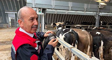 Müdür Düzgün: "256 kesim yeri için onay verildi"