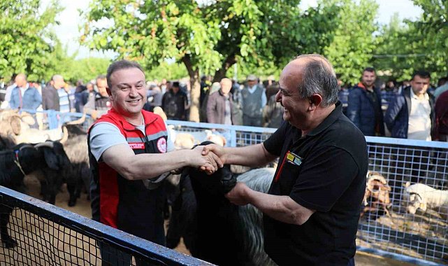 Muğla'da Kurban pazarlarında sıkı denetim