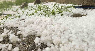Muş'ta dolu yağışı etkili oldu