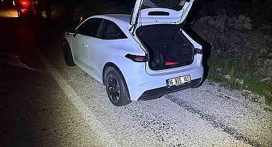 Önüne aniden çıkan köpeğe duramayarak çarptı