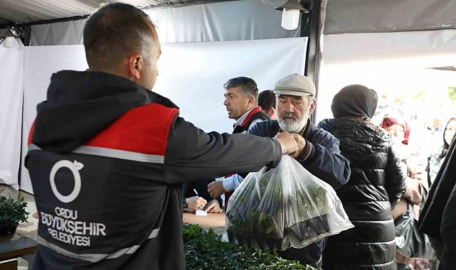 Ordu Büyükşehir, 7 yılda 5 milyona yakın fide dağıttı