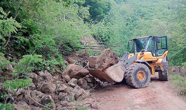 Ordu'da 24 saatte 214 heyelan meydana geldi