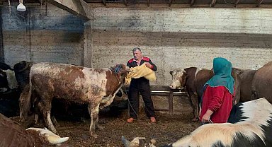 Ordu'da kurbanlık hayvan pazarlarında hareketlilik başladı