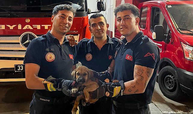 Otomobilin motoruna sıkışan yavru köpeği itfaiye kurtardı