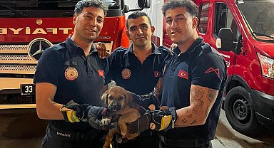 Otomobilin motoruna sıkışan yavru köpeği itfaiye kurtardı