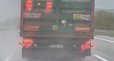 Otoyolda tırdan sarkan tavuklar kameraya yansıdı