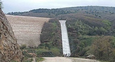 Pazaryeri tarımında altın dönem başlıyor