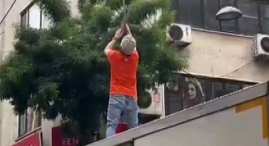 Pendik'te elektrik tellerine takılan martı kurtarıldı