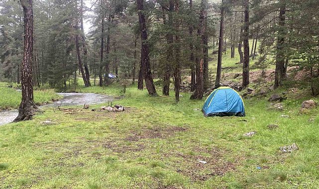 Piknik yaptıkları alana yıldırım düştü: 1'i ağır 3 yaralı