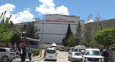 Piknikte akrep sokan kadın hastanelik oldu