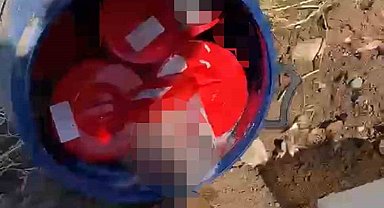 Plastik kutularda 21 cenin bulundu